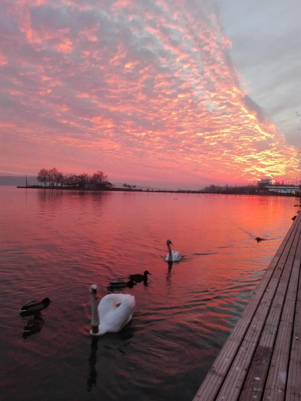 Pedetti Apartman - slide 9