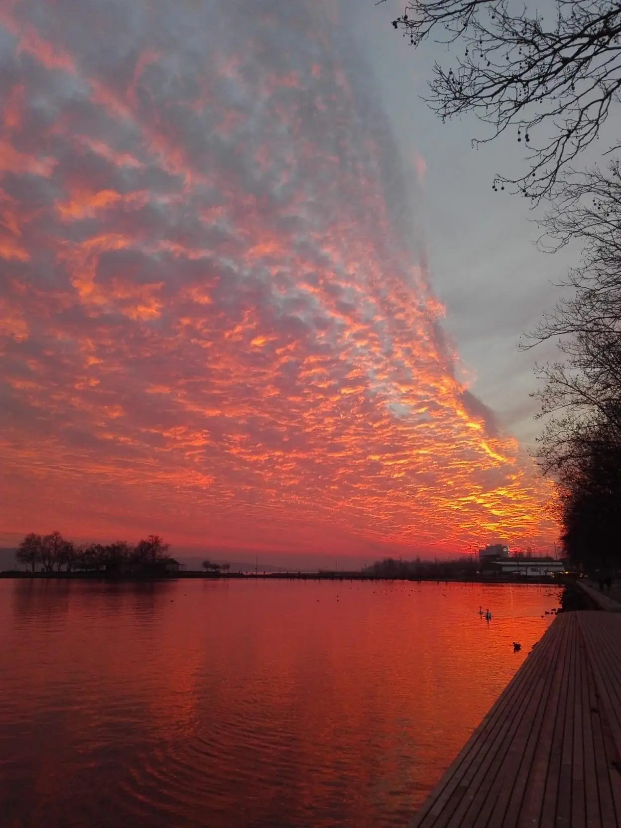 Pedetti Apartman - slide 15