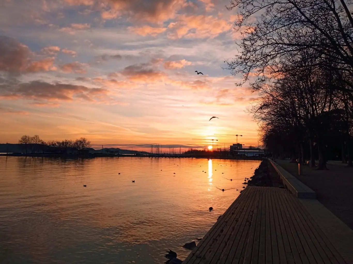 Pedetti Apartman - slide 16