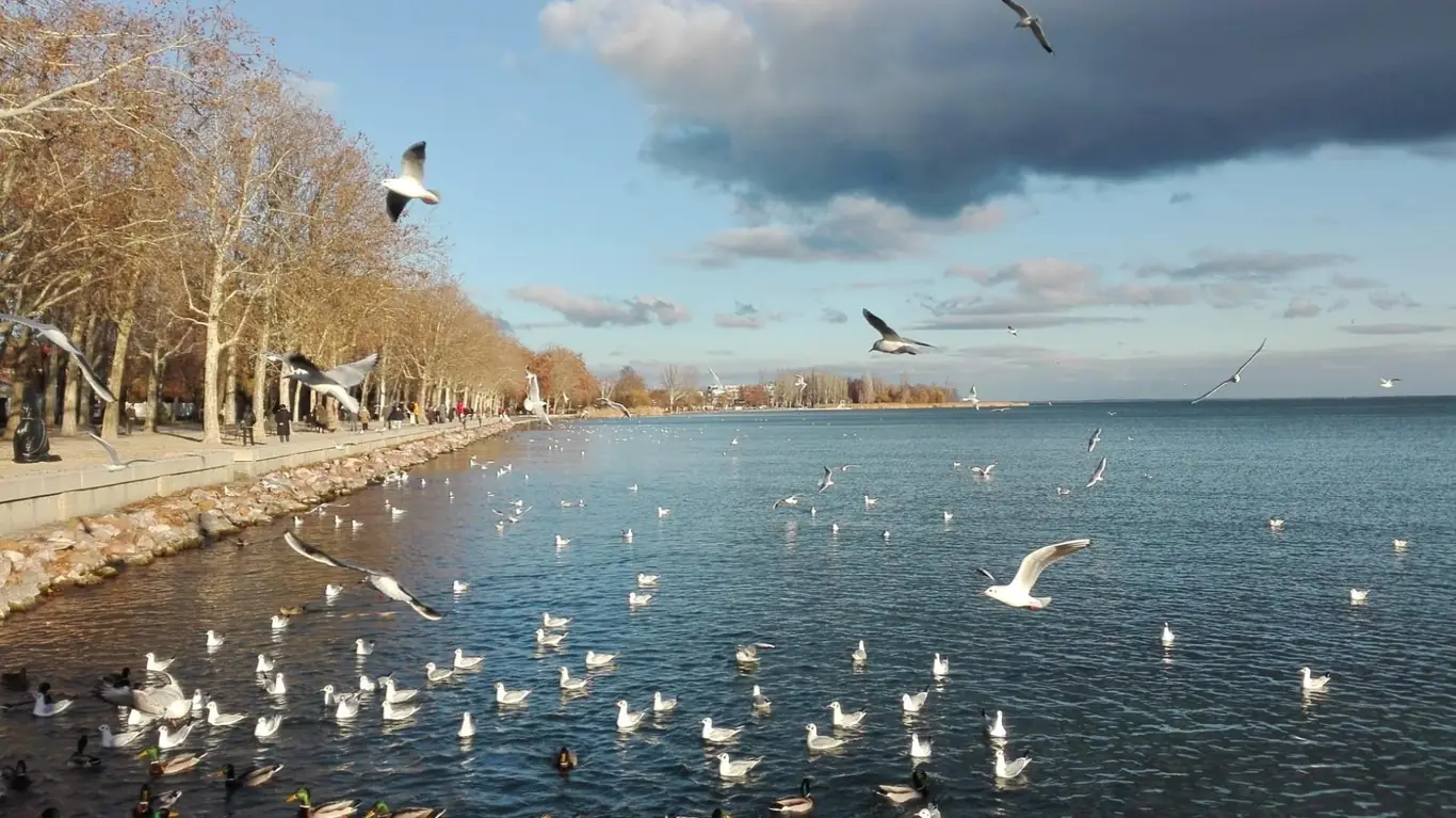 Pedetti Apartman - slide 21